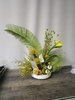 FRESH Tinted Sego Palm Whimsical Arrangement
