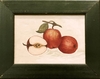 Still Life Painting
