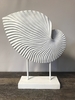 White Plaster Raised Shell