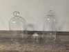 Glass Cloche