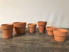 Terracotta Pot C