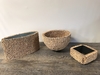 Papyrus Planter A