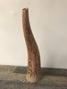 Tiger Stripe Wood Horn B