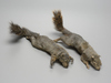 Soft Mount Taxidermy Squirrel #2