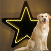 STAR-YELLOW 4'