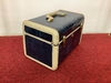 Train Case, Marbled Blue