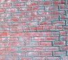 Brick Wall 10'wx8'