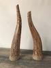 Tiger Stripe Wood Horn A