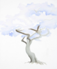 Tree Illustration