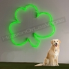 SHAMROCK #02