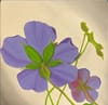 Purple Flowers Painting