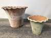 Aged Terracotta Waved Rim Vase C