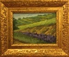 California Fields Landscape