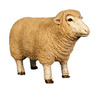Sheep Ewe Merino Baby Head Up Farm Prop Resin Decor Statue