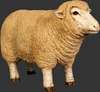 Sheep Ewe Merino Baby Head Up Farm Prop Resin Decor Statue