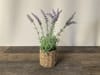 Lavender in Wicker Cylinder