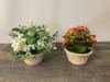 SILK Aged Terracotta Plant A