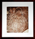 Cleared Print; Brown Squiggly String Off White Mat