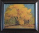 Trees in Fall Colors