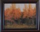 Trees in Fall Colors