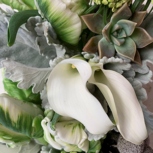 FRESH FLORALS